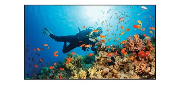120” Unbreakable Black Diamond 1.4 Gain ALR Projector Screen - Image 6